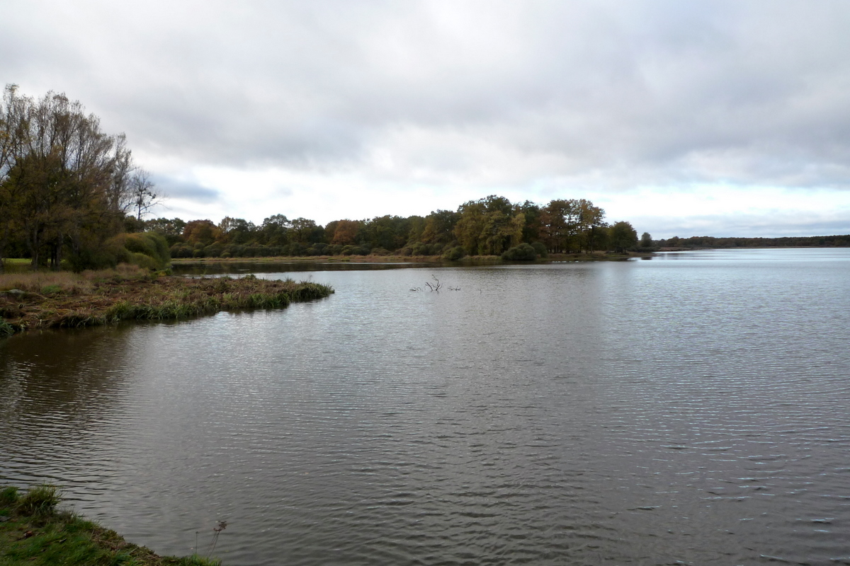 20101030 Creuse Etang des Landes m4e9e8ad9