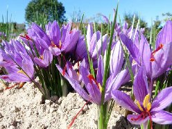 image02