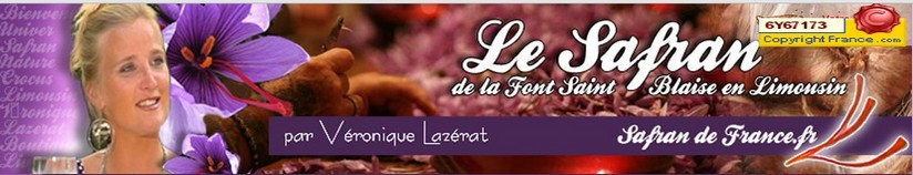 BANNIERE2